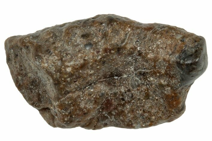 Lunar Meteorite ( g) - NWA #303321